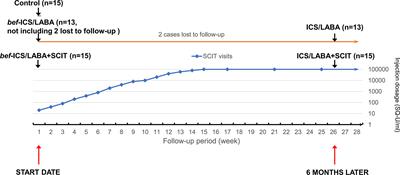 ICS/LABA Combined With Subcutaneous Immunotherapy Modulates the Th17/Treg Imbalance in Asthmatic Children